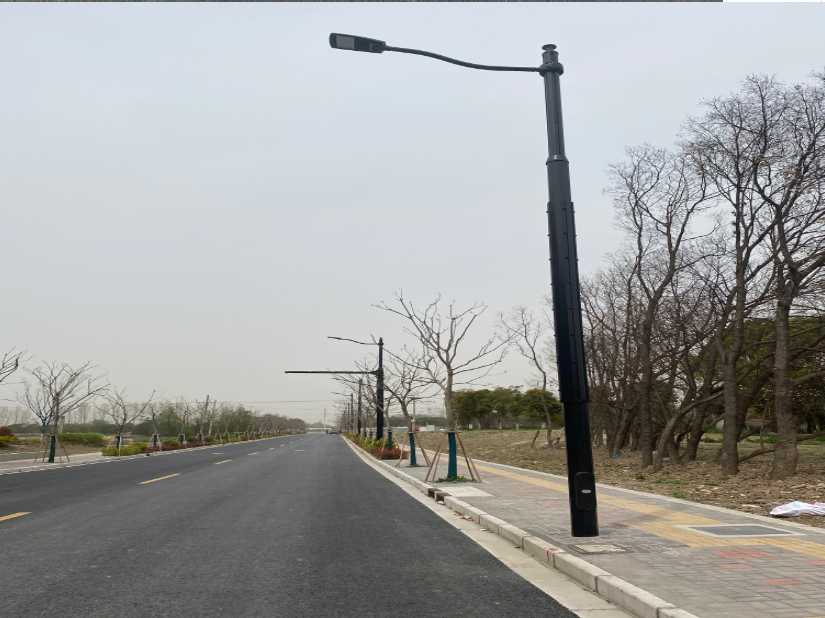 苍溪县上海综合杆 太阳能路灯工程